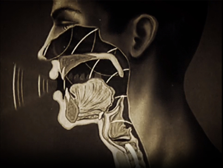 چرا به صداسازی نیازمندیم ؟